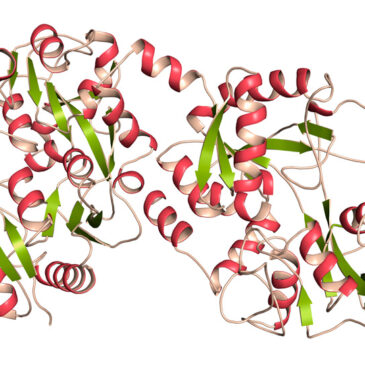 Mesa redonda: “EL USO DE LA LACTOFERRINA EN PROFESIONALES SANITARIOS DE ALTO RIESGO”